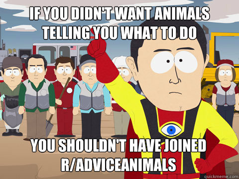 if you didn't want animals telling you what to do you shouldn't have joined r/adviceanimals  Captain Hindsight