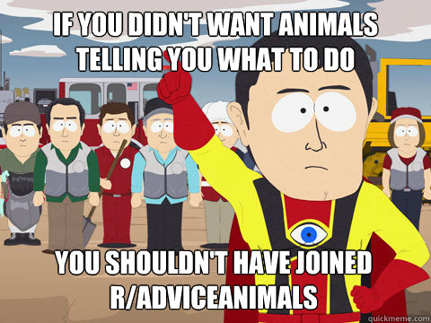 if you didn't want animals telling you what to do you shouldn't have joined r/adviceanimals - if you didn't want animals telling you what to do you shouldn't have joined r/adviceanimals  Captain Hindsight