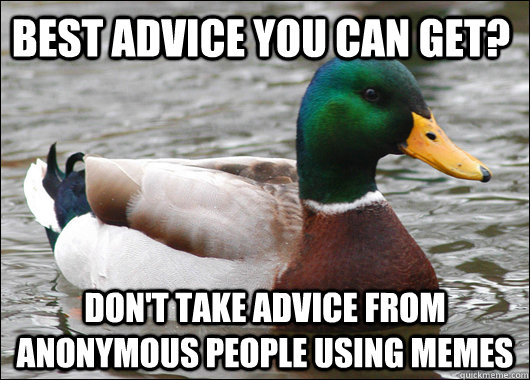 best advice you can get? don't take advice from anonymous people using memes  Actual Advice Mallard