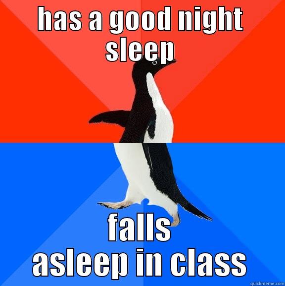 HAS A GOOD NIGHT SLEEP FALLS ASLEEP IN CLASS Socially Awesome Awkward Penguin