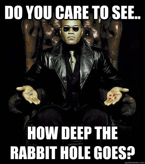 Do you care to see.. How deep the rabbit hole goes?  Morpheus