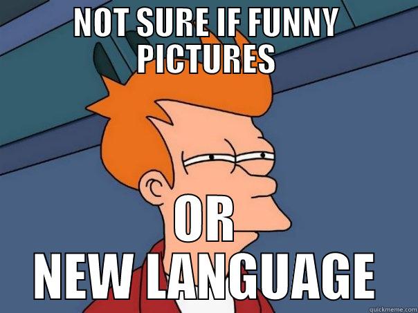 NOT SURE IF FUNNY PICTURES OR NEW LANGUAGE Futurama Fry