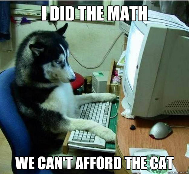 I did the math We can't afford the cat - I did the math We can't afford the cat  Disapproving Dog