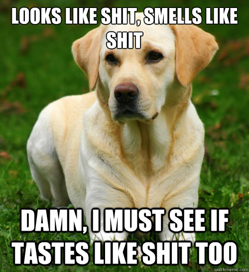 Looks like shit, smells like shit damn, i must see if tastes like shit too  Dog Logic