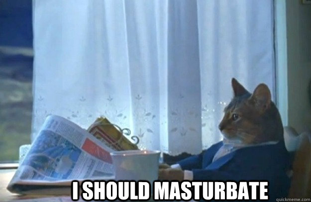 I should masturbate  Sophisticated Cat