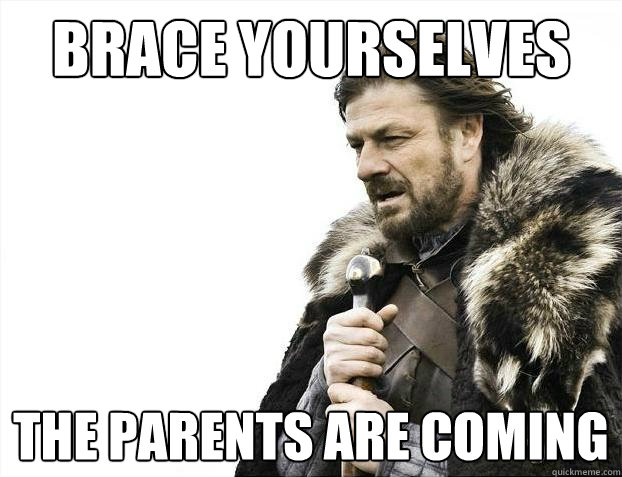 Brace yourselves The parents are coming  Brace Yourselves - Borimir