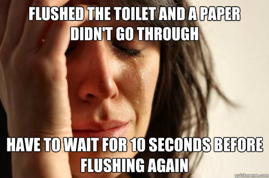 Flushed the toilet and a paper didn't go through Have to wait for 10 seconds before flushing again  First World Problems
