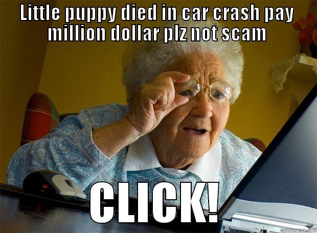 LITTLE PUPPY DIED IN CAR CRASH PAY MILLION DOLLAR PLZ NOT SCAM CLICK! Grandma finds the Internet