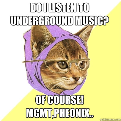 Do I listen to underground music? of course! mgmt,pheonix..  Hipster Kitty