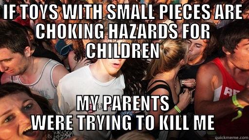 I had a lot of legos when I was a kid... - IF TOYS WITH SMALL PIECES ARE CHOKING HAZARDS FOR CHILDREN MY PARENTS WERE TRYING TO KILL ME Sudden Clarity Clarence