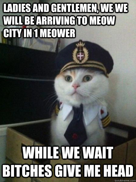 LADIES AND GENTLEMEN, WE WE WILL BE ARRIVING TO MEOW CITY IN 1 MEOWER WHILE WE WAIT BITCHES GIVE ME HEAD  Captain kitteh