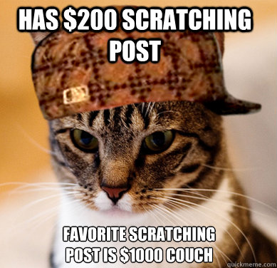 has $200 scratching post favorite scratching post is $1000 couch  Scumbag Cat