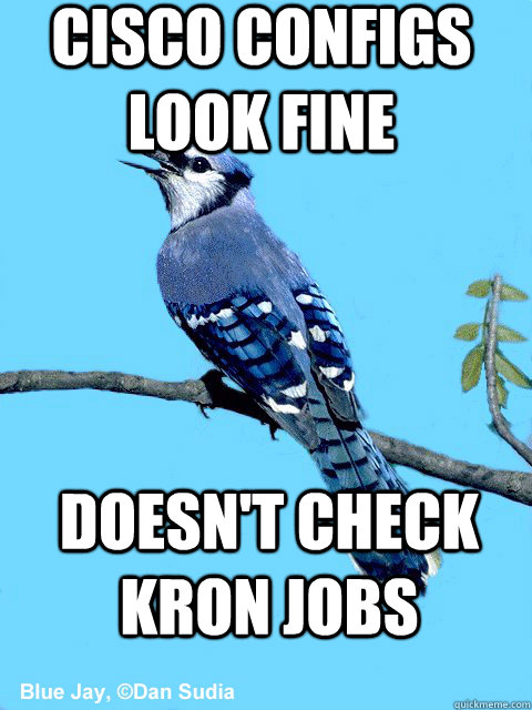 Cisco Configs look fine Doesn't check kron jobs - Cisco Configs look fine Doesn't check kron jobs  Blue Team Bird