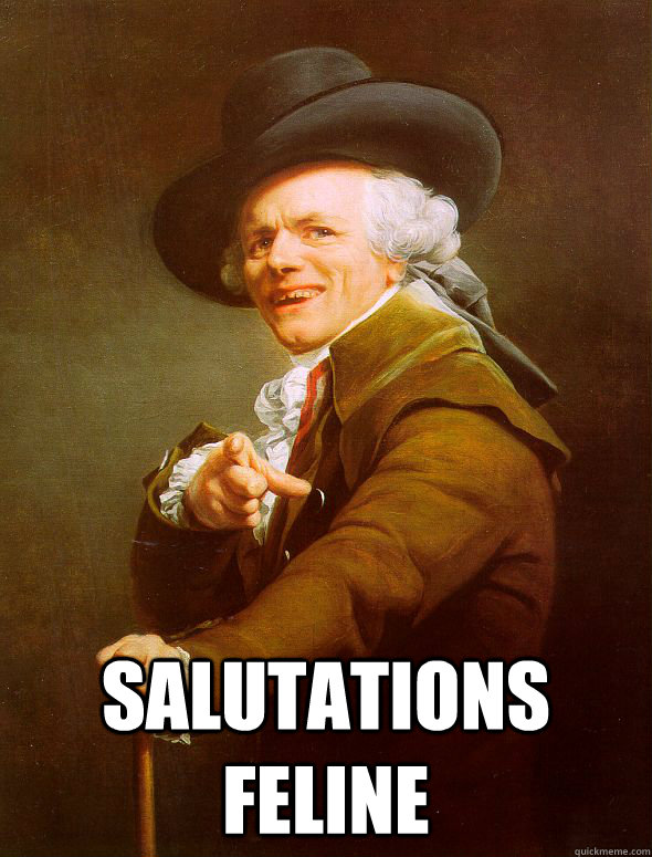  salutations feline -  salutations feline  Joseph Ducreux