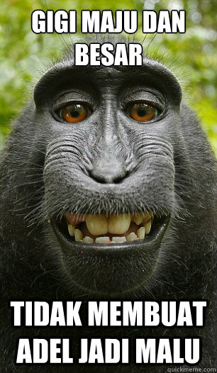 GIGI MAJU DAN BESAR TIDAK MEMBUAT ADEL JADI MALU - GIGI MAJU DAN BESAR TIDAK MEMBUAT ADEL JADI MALU  Mindful Macaque