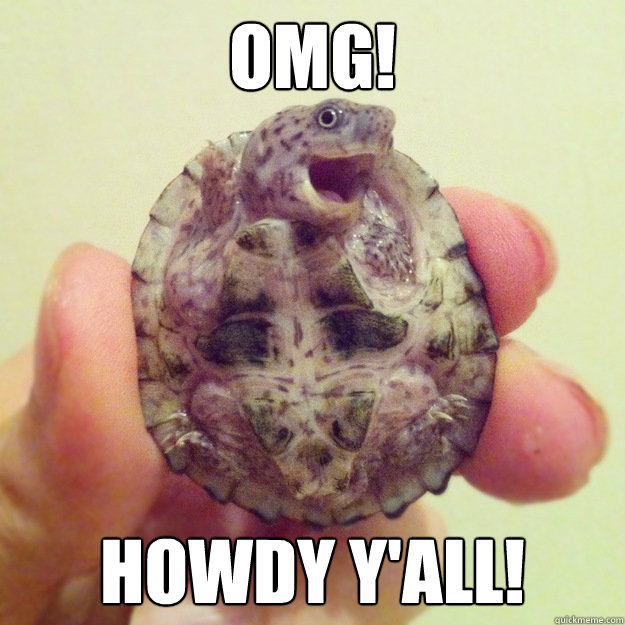 Cute turtle memes | quickmeme Cute turtle memes | quickmeme