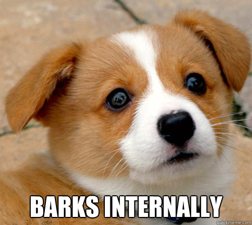  barks internally  