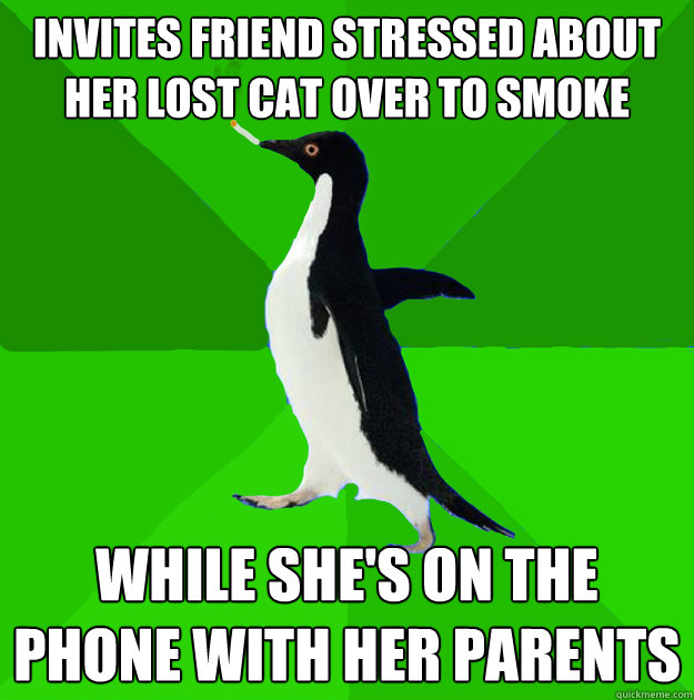 invites friend stressed about her lost cat over to smoke while she's on the phone with her parents  Stoner Penguin
