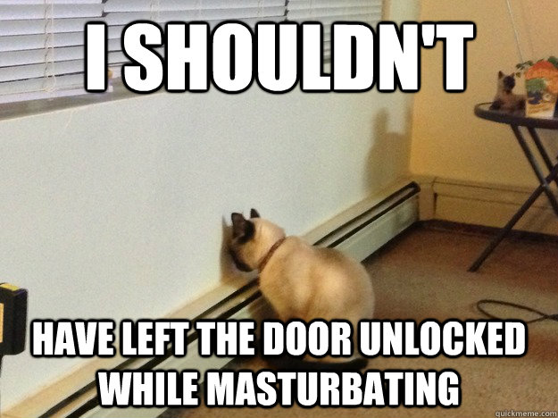 I shouldn't have left the door unlocked while masturbating - I shouldn't have left the door unlocked while masturbating  Regretful Cat