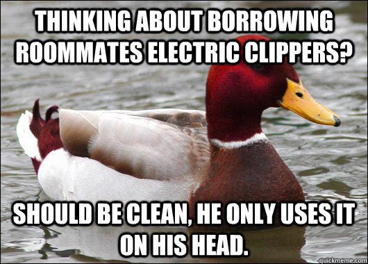 Thinking about borrowing roommates electric clippers? Should be clean, he only uses it on his head.  Malicious Advice Mallard