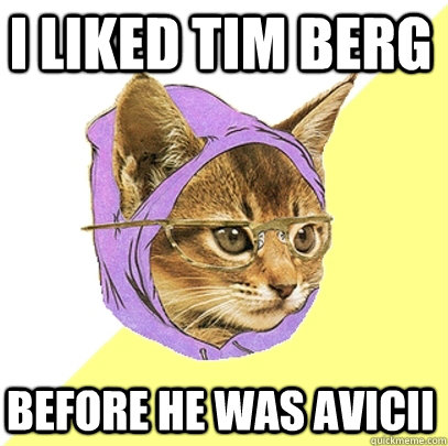 I liked tim Berg Before he was Avicii  Hipster Kitty