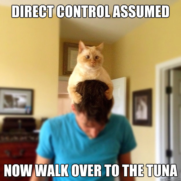 Direct control assumed Now walk over to the tuna - Direct control assumed Now walk over to the tuna  Misc