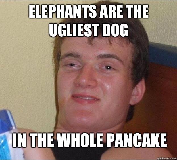 Elephants are the ugliest dog In the whole pancake  The High Guy