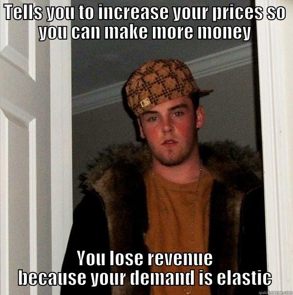 TELLS YOU TO INCREASE YOUR PRICES SO YOU CAN MAKE MORE MONEY YOU LOSE REVENUE BECAUSE YOUR DEMAND IS ELASTIC Scumbag Steve