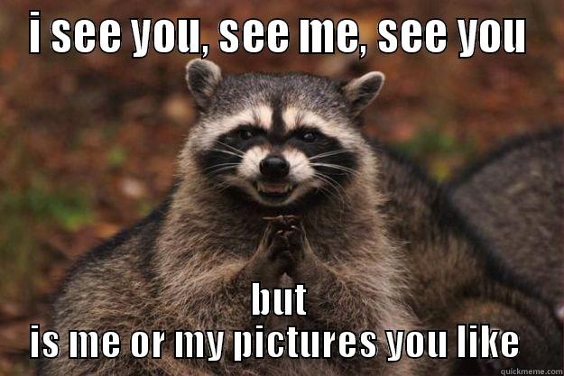 i see you see me - I SEE YOU, SEE ME, SEE YOU BUT IS ME OR MY PICTURES YOU LIKE  Evil Plotting Raccoon