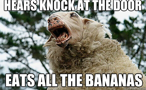 Hears knock at the door Eats all the bananas  Meth Sheep