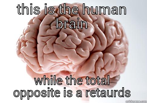 THIS IS THE HUMAN BRAIN WHILE THE TOTAL OPPOSITE IS A RETAURDS Scumbag Brain
