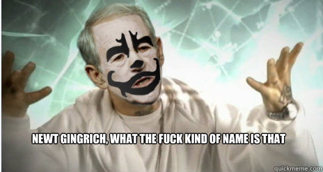 NEWT GINGRICH, WHAT THE FUCK KIND OF NAME IS That - NEWT GINGRICH, WHAT THE FUCK KIND OF NAME IS That  ron paul magnets
