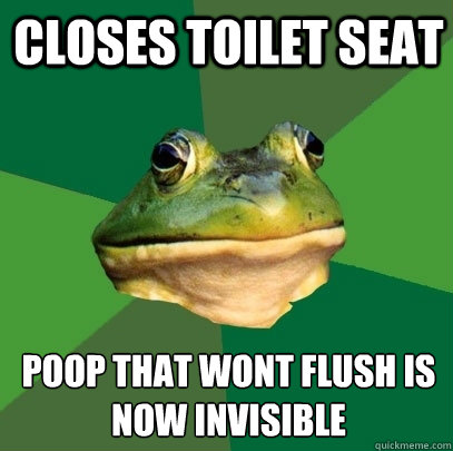 closes toilet seat poop that wont flush is now invisible  Foul Bachelor Frog