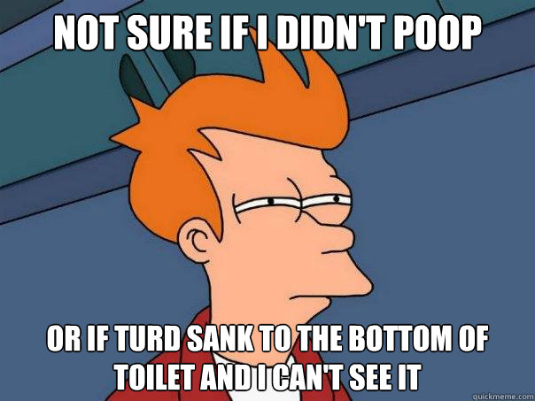 NOT SURE IF I DIDN'T POOP
 OR IF TURD SANK TO THE BOTTOM OF TOILET AND I CAN'T SEE IT  Futurama Fry