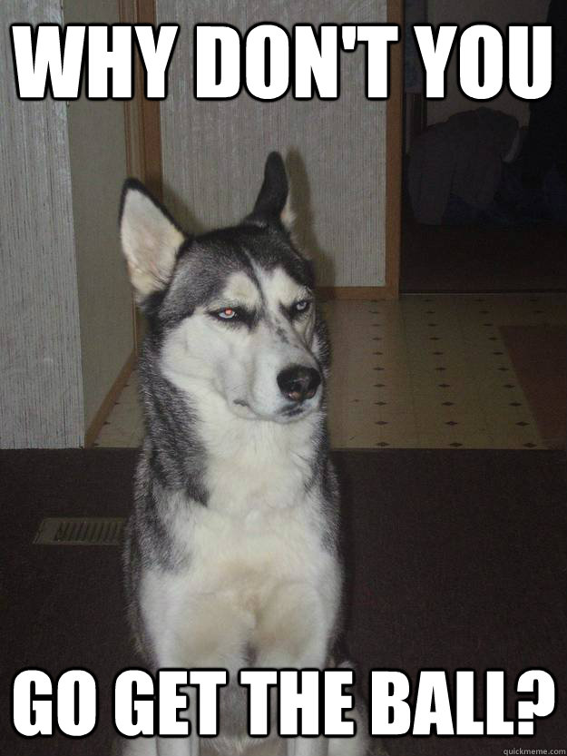 Why don't you go get the ball? - Why don't you go get the ball?  Misc