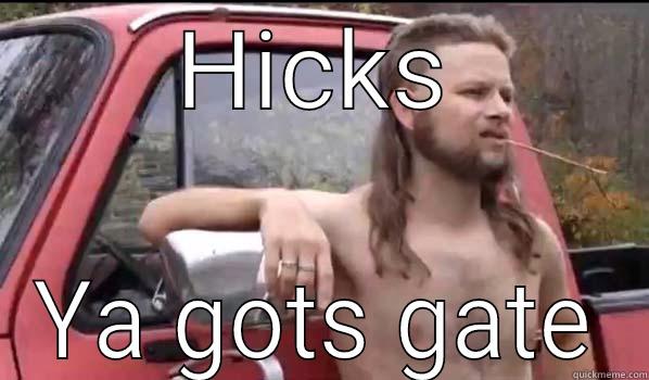 HICKS YA GOTS GATE Almost Politically Correct Redneck