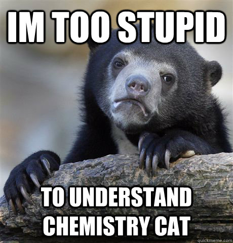 Im too stupid to understand chemistry cat  Confession Bear
