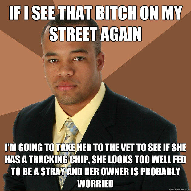 if i see that bitch on my street again  i'm going to take her to the vet to see if she has a tracking chip, she looks too well fed to be a stray and her owner is probably worried  
