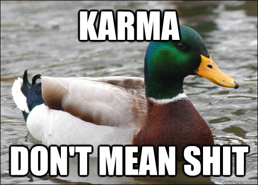 Karma Don't mean shit  Actual Advice Mallard