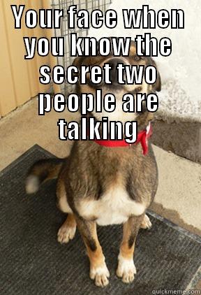 YOUR FACE WHEN YOU KNOW THE SECRET TWO PEOPLE ARE TALKING   Good Dog Greg