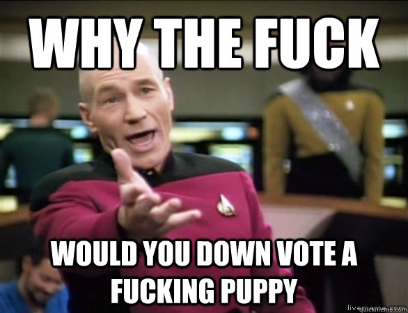 why the fuck would you down vote a fucking puppy  Annoyed Picard HD