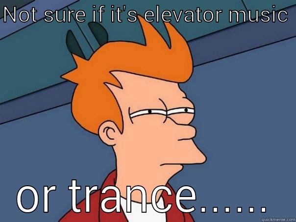 NOT SURE IF IT'S ELEVATOR MUSIC  OR TRANCE...... Futurama Fry