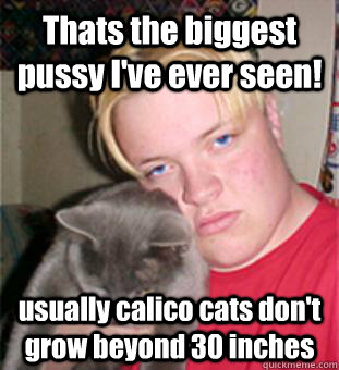 Thats the biggest pussy I've ever seen! usually calico cats don't grow beyond 30 inches - Thats the biggest pussy I've ever seen! usually calico cats don't grow beyond 30 inches  Creepy Guy Jeff