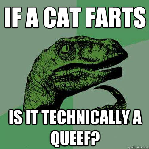 If a cat farts is it technically a queef? - If a cat farts is it technically a queef?  Philosoraptor