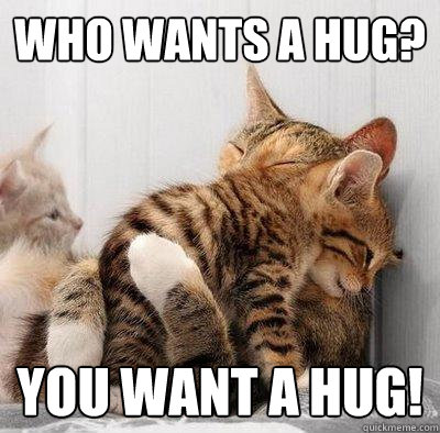 Who wants a hug? YOU want a hug!  Kitty Hug