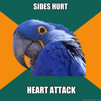 Sides hurt Heart attack  Paranoid Parrot