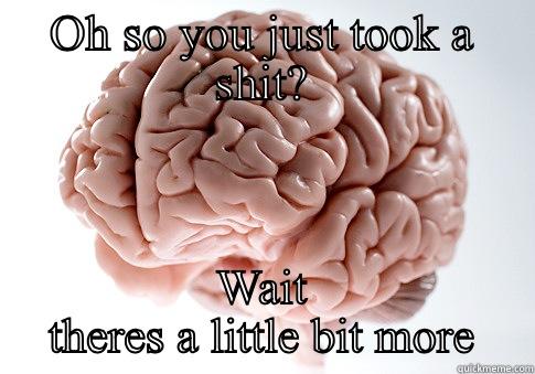 OH SO YOU JUST TOOK A SHIT? WAIT THERES A LITTLE BIT MORE Scumbag Brain