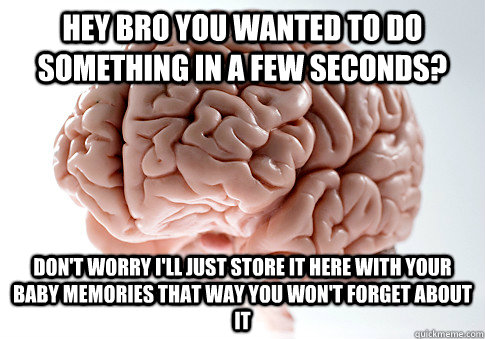 Hey bro you wanted to do something in a few seconds? don't worry i'll just store it here with your baby memories that way you won't forget about it  Scumbag Brain