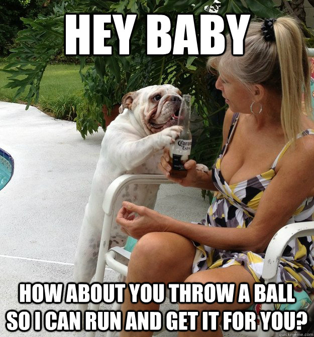 HEY BABY how about you throw a ball so I can run and get it for you?   PUA Dog