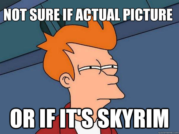 Not sure if actual picture Or if it's Skyrim  Futurama Fry